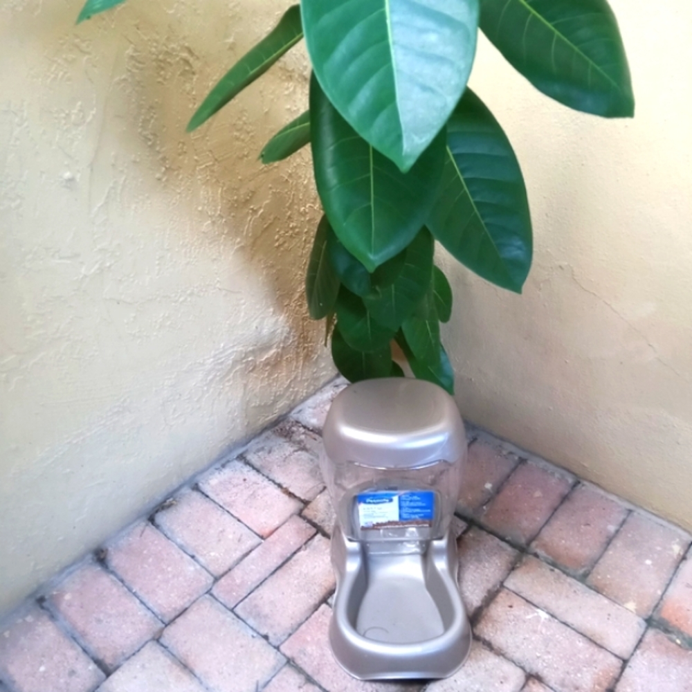 Petmate Gravity Feeder Cats & Dogs 6 lb - Picture 6 of 6